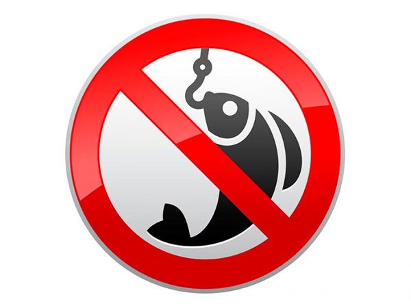 Рыбалка обернется штрафом или уголовным делом: весенние запреты на лов рыбы в лиманах