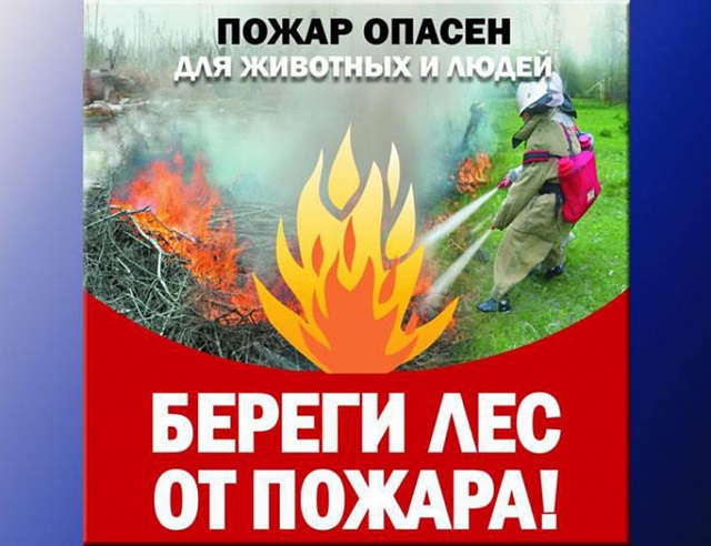 «Меры пожарной безопасности в лесу»