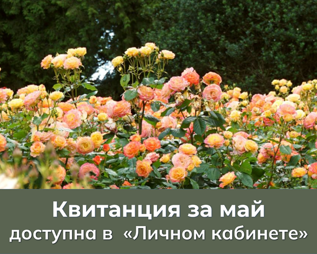 С 1 июня в "Личном кабинете" доступна квитанция для оплаты газа, потребленного в мае